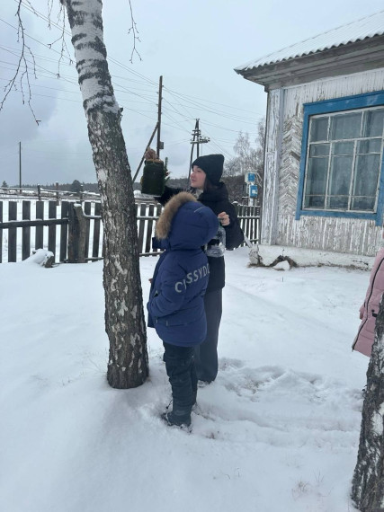 Кормушки для пернатых друзей.